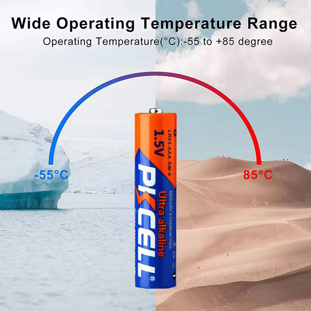 4pcs PKCELL AA LR6 1.5V Alkaline Batteries