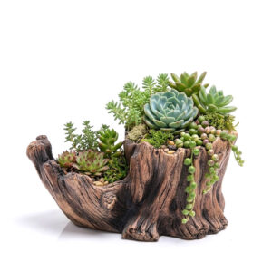 Cement Driftwood Planter with Dual Cavities