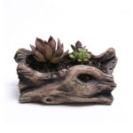 Cement Driftwood Planter