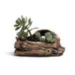 Cement Driftwood Planter