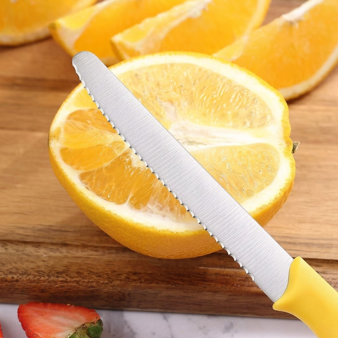 22cm Fruit Knife with Serrated Stainless Steel Blade