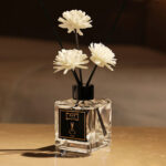 50ml Reed Diffuser - 5 Botanical Scents