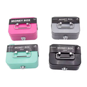 Small Metal Money Box with Lock and Key for Kids
