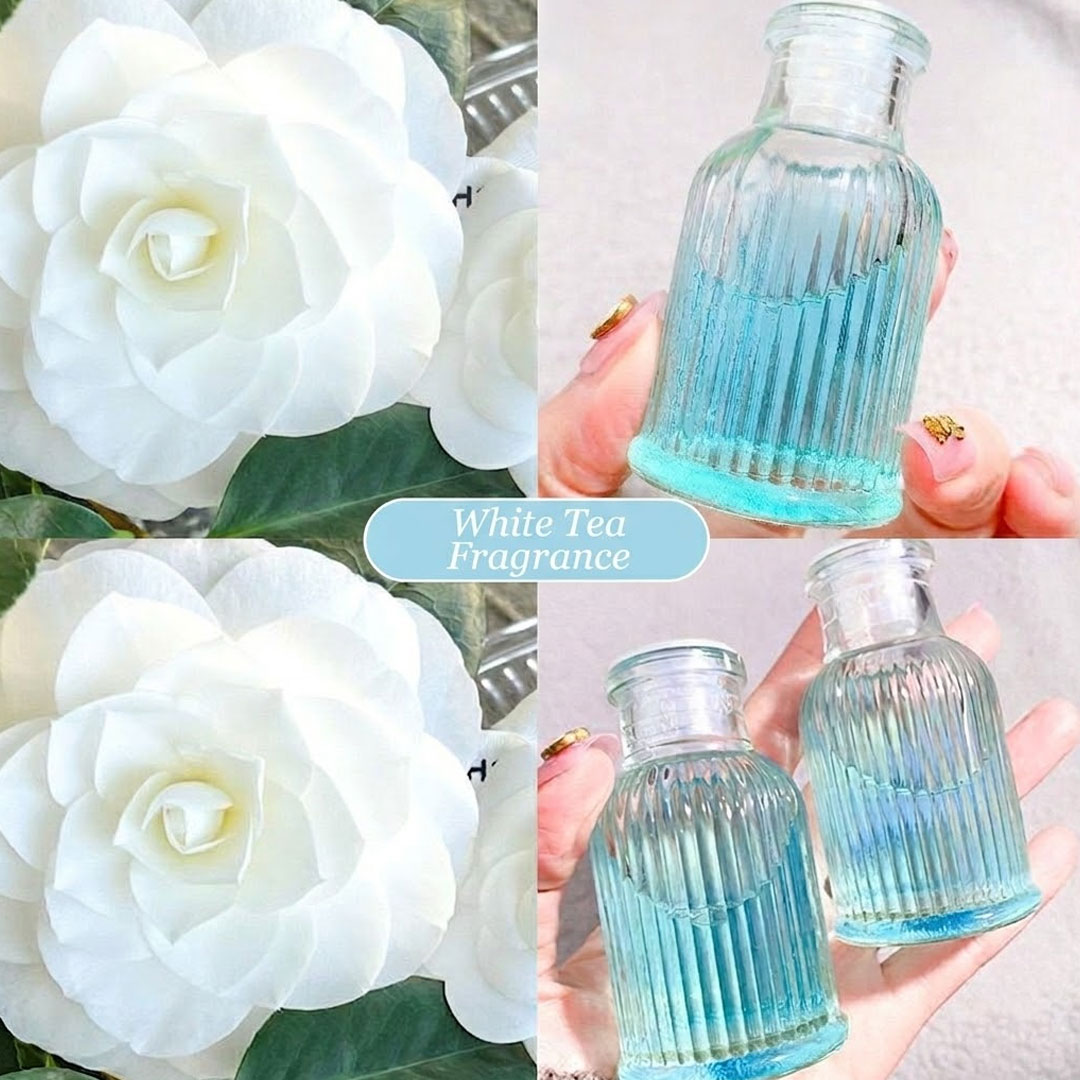 40ml Reed Diffuser - 4 Botanical Scents