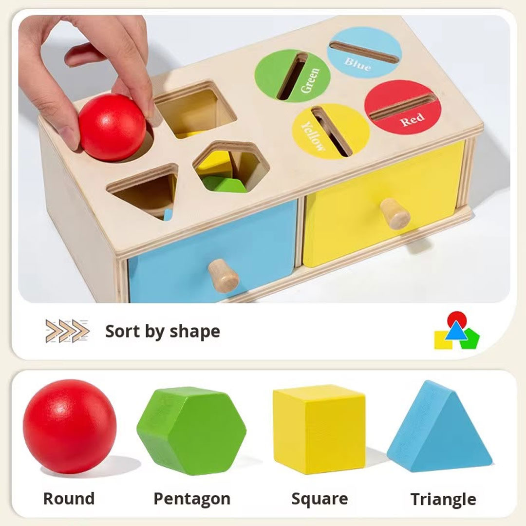 Montessori Wooden Shape Sorter & Color Coin Drop Box Toy