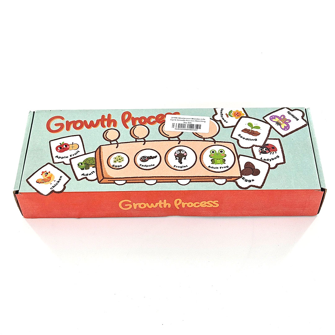 Montessori Life Cycle Toy That Teaches Kids How Living Things Grow