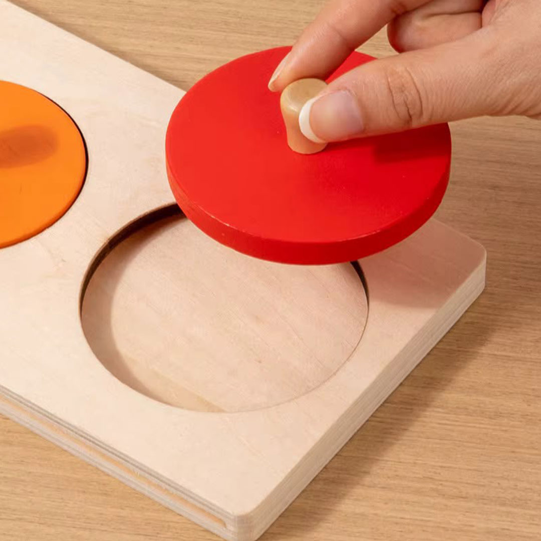 Montessori Life Cycle Toy That Teaches Kids How Living Things Grow