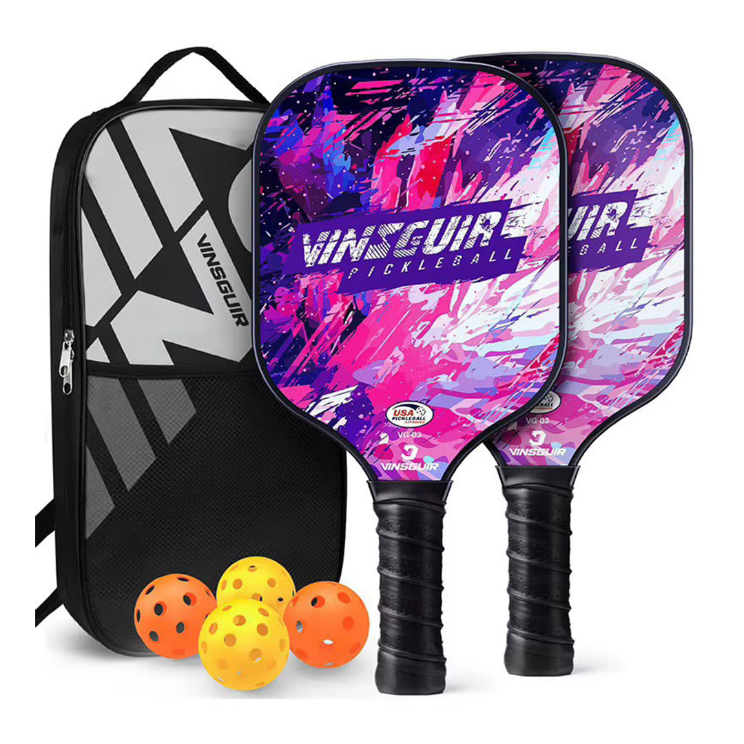 Vinsguir Pickleball Paddle Set with 2 Paddles, 4 Balls and Carry Bag